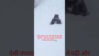 हिमालय में चारो तरफ  बर्फ के बीच में तपस्या करता हुआ साधु#Himalaya#viral reel#short#public Ki baat