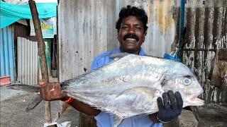 KANNAADI PAARAI FISH 🐠||KASIMEDU FISH MARKET 🌊🏖️||KASIMEDU SEKAR ⚔️🔥