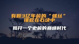 有颗3亿年前的“螺丝”，镶嵌在石块中，揭开一个史前的巅峰时代