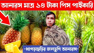 আনারস মাত্র ১৪ টাকা পিস পাইকারি। Wholesale Pineapple price today. | Duronto Pothik