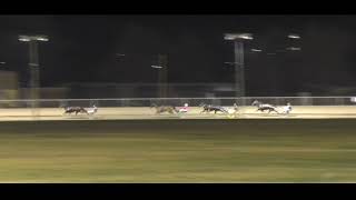 Mildura Harness Racing Club- 5 Aug 2024 Trial 5