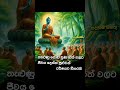 ධර්මදානයක්_වේවා truth dhamma dhamma_talk buddha love nirwana buddhism motivation nibbana