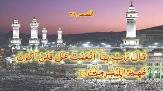 HD Quran tilawat Recitation Learning Complete Surah 28 - Chapter 28 Al Qasas