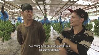 Discover More About Fyffes