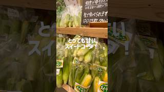 西日本最大級の道の駅【神戸フルーツフラワーパーク大沢】スイートコーン🌽スイカ🍉桃🍑BE KOBE