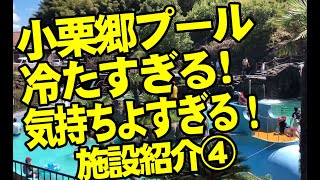 道の駅鹿北　小栗郷　親水プールの案内