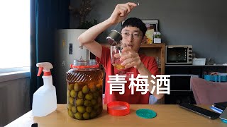 青梅酒泡了一年 来尝尝什么味道