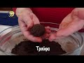 easy cookie truffles with orange golden recipes