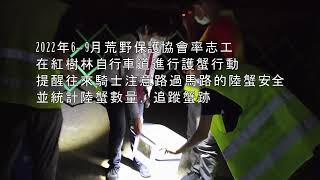 守護淡水河口陸蟹