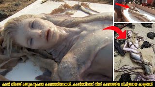 കടൽ തീരത്ത് മത്സ്യകന്യകയെ കണ്ടെത്തിയപ്പോൾ😧  | STRANGE Things Washed Up on Beaches