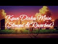 Kaun disha mein -  Varsha Singh Dhanoa {Slowed & Reverbed}