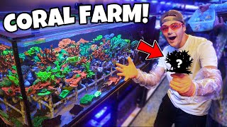 Visiting the LARGEST CORAL Facility in My TOWN!! (epic)