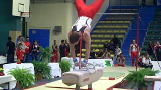 ARNAUD WILLIG ARSON demi-final france gymnastique par équipe.AVI