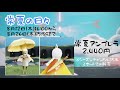 【sky】夏のイベント【常夏の日々＆夏灯りの日々】