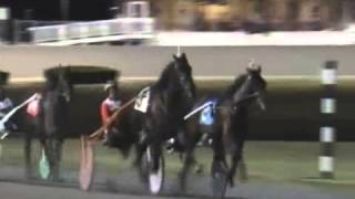 2015 Hudson Filly Trot - theharnessedge.com