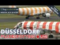 P2:Plane Spotting LIVE 🇩🇪 Düsseldorf Airport | Mittwoch 25.9.2024 Mittag #airportlive