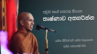 ඔබ නො දන්න තණ්හාවේ ගැඹුර | Ven.Kirulapana Dhammawijaya Thero