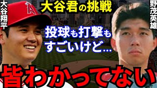 大谷翔平の二刀流挑戦に対し野茂英雄が語った“ある一言”に感動の嵐…メジャー挑戦のパイオニアが自らの苦悩を経て伝えたかった想いに拍手喝采！