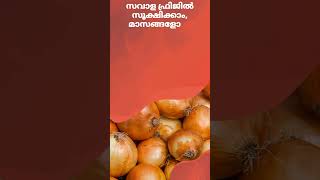 സവാള ഫ്രിജിൽ സൂക്ഷിക്കാം, മാസങ്ങളോളം #tipsandtricks #onion #food