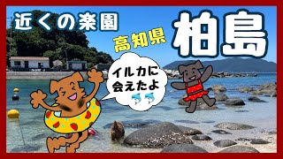 近くにこんな楽園があったとは！！『柏島』行ってきました！！