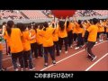 nsg大運動会（大玉送り）　講師　看護・医療系資格　専門学校　新潟