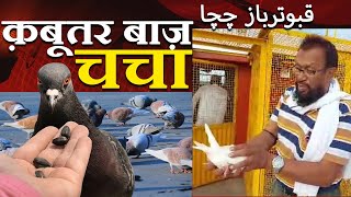 Qabutar Baaz Chacha: क़बूतर बाज़ी के शौक़ीन | Pigeons | DOVE | Globaltoday