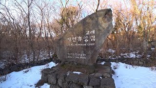 단지 분위기 환경 | 객실 및 산책로 살펴보기 | 교래자연휴양림【1】