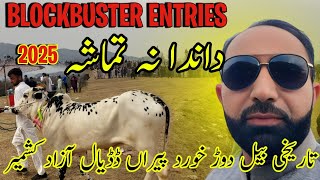 Most Demand Bull Race at Khurd Piran || Surakhi 2025 😱✨  Dandan Na Tamasha || Family Vlog