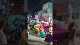 Butterfly Dance | பட்டாம்பூச்சி நடனம்