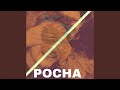 Pocha