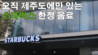 제주도 스타벅스에서만 맛볼 수 있는 특별한 메뉴가 있다! / JEJU ONLY 스타벅스 제주 한정 음료 소개