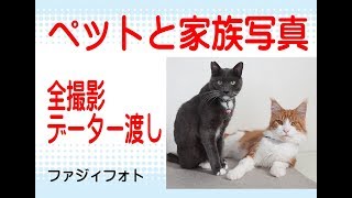 千葉・犬の写真館・ペットと記念写真・八千代市の写真スタジオ