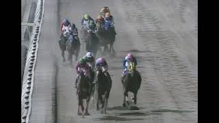 スマートファルコン 2011年 第34回帝王賞(統一JpnI) (優勝馬：スマートファルコン)