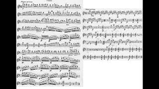 Paganini 6 Sonatas for Violin & Guitar Op.2 No.5 2-5 C major 帕格尼尼 小奏鳴曲 小提琴 吉他  Score Sheet 譜 【Kero】