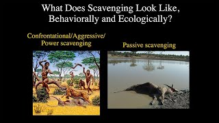 CARTA: The Role of Hunting in Anthropogeny: Briana Pobiner - The Ecology of Hominin Scavenging