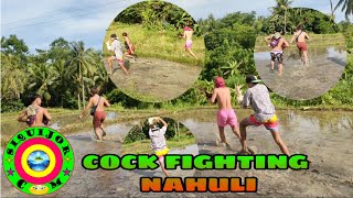 ILLEGAL COCK FIGHTING