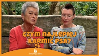 Czym najlepiej karmić psa?