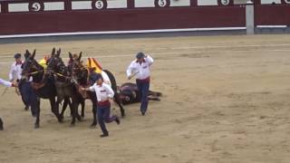 Bull Fight 11 ラス・ベンタス闘牛場