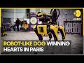 France: Dynamic robot-like dog helps in metro network repair in Paris | World News | WION