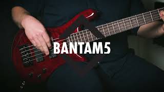 Spector: Bantam5 Medium-Scale Bass