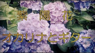 『紫陽花』莉燦馮 作曲（オカリナとギター）