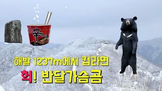 산에서 컵라면 먹다가 반달가슴곰 만났다면! 장안산최단코스 1237m 눈꽃산행. 블랙야크100대 명산