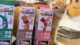 ペティオの電動けりぐるみ  全種類を猫にプレゼントしてみたら.....。