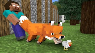 Monster School : Chicken Baby Friend - Cute Story - Minecraft Animation