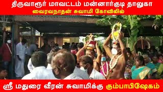 திருவாரூர் மாவட்டம் வைரவநாதன் சுவாமி கோவிலில் ஸ்ரீ மதுரை வீரன் சுவாமிக்கு கும்பாபிஷேகம் நடைபெற்றது.