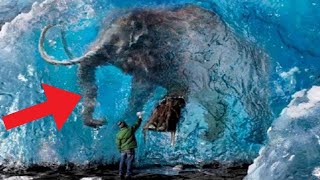 Top 10 Extinct Animals That Scientists Might Bring Back