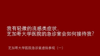 我有类似流感的轻微症状，急诊室会如何接待我？