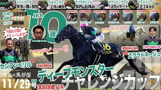 【椎チャンネル】椎名の馬部屋_11/28撮影_近況報告