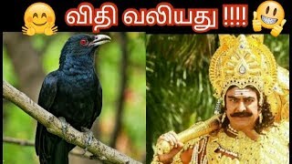 விதி மிக மிக வலிமையானது | life story