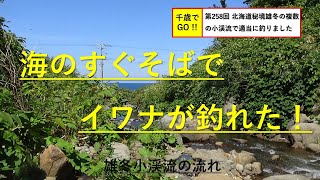 千歳でGO!! 第258回　北海道秘境雄冬の複数の小渓流で適当に釣りました。イワナ、ウグイ、ヤマメが釣れました。